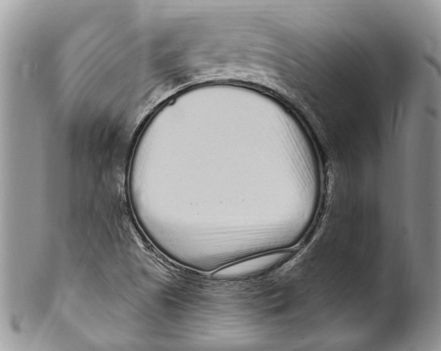 X0000099581505200806131306