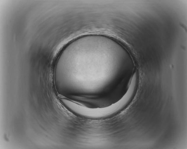 X0000099581506200806131306