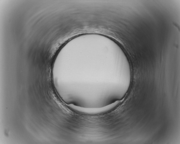 X0000099581507200806131306