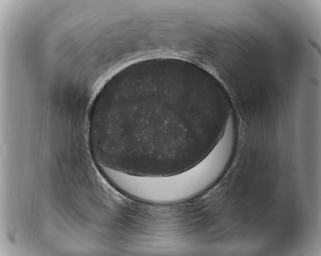 X0000099581508200806131307