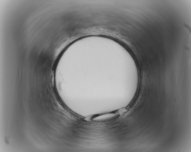 X0000099581509200806131307