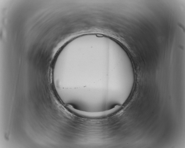 X0000099581510200806131307