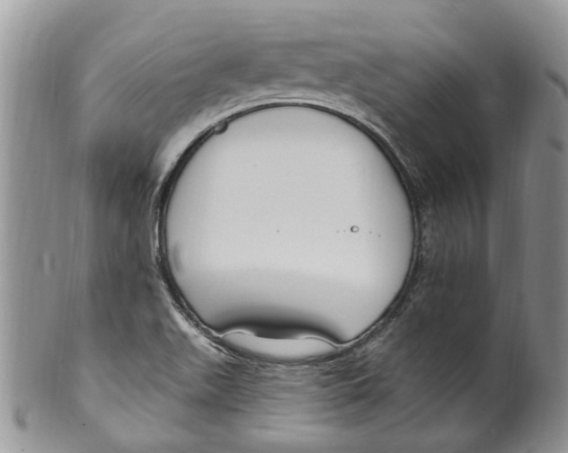 X0000099581511200806131307