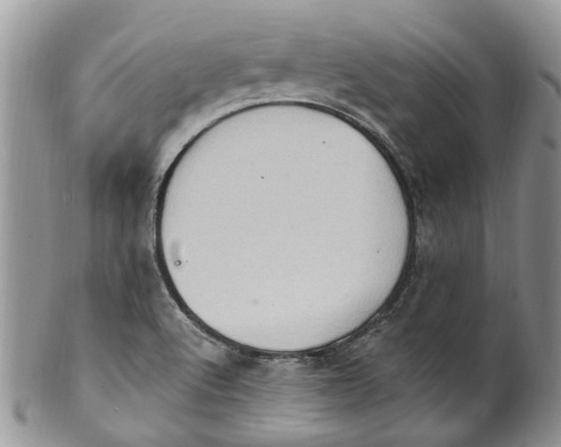 X0000099581512200806131307