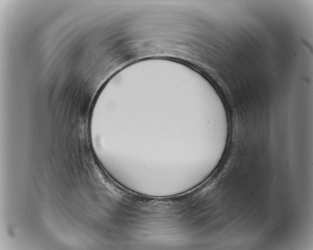 X0000099581513200806131307