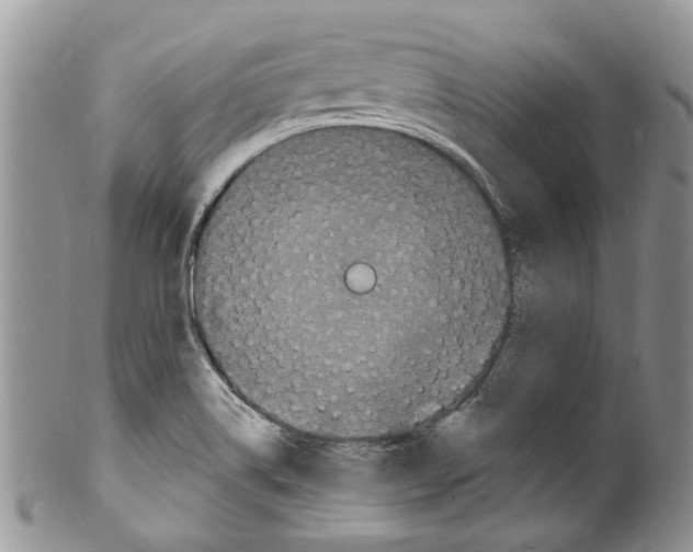 X0000099581514200806131307