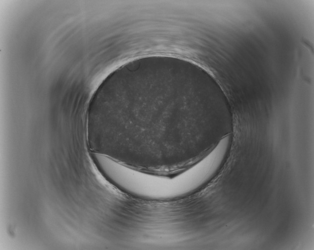 X0000099581515200806131307