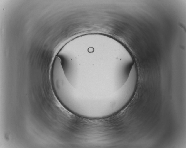 X0000099581516200806131307