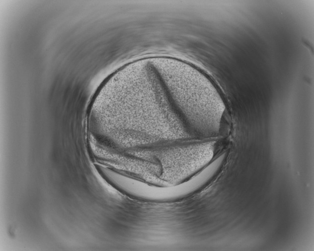 X0000099581519200806131307