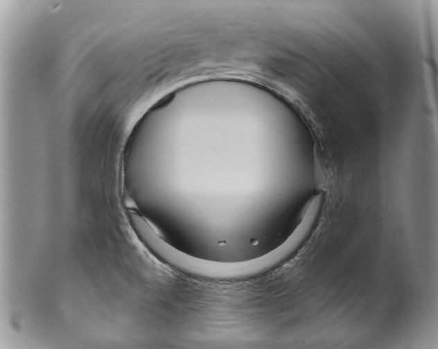 X0000099581520200806131307