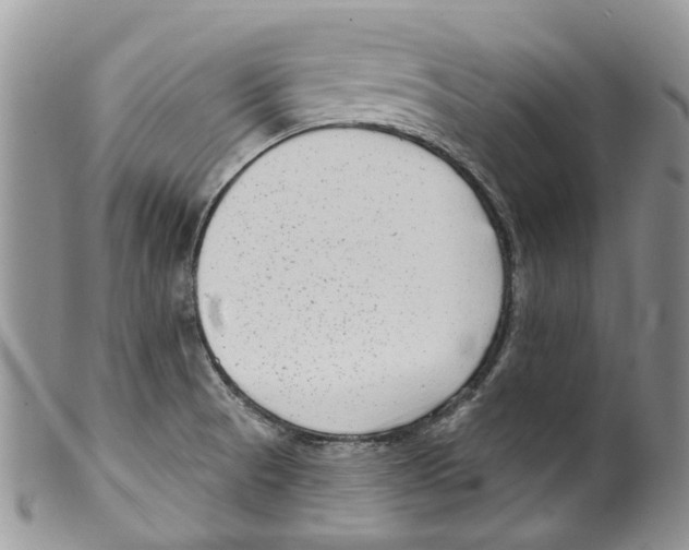 X0000099581521200806131307