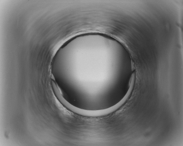 X0000099581524200806131307