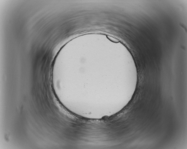 X0000099581526200806131307