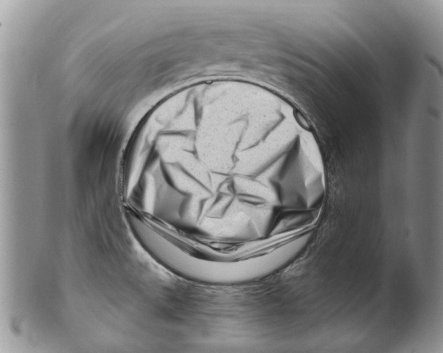 X0000099581527200806131307