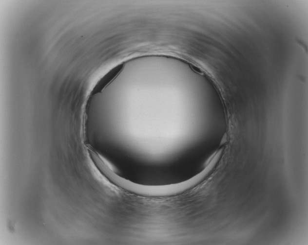 X0000099581528200806131307