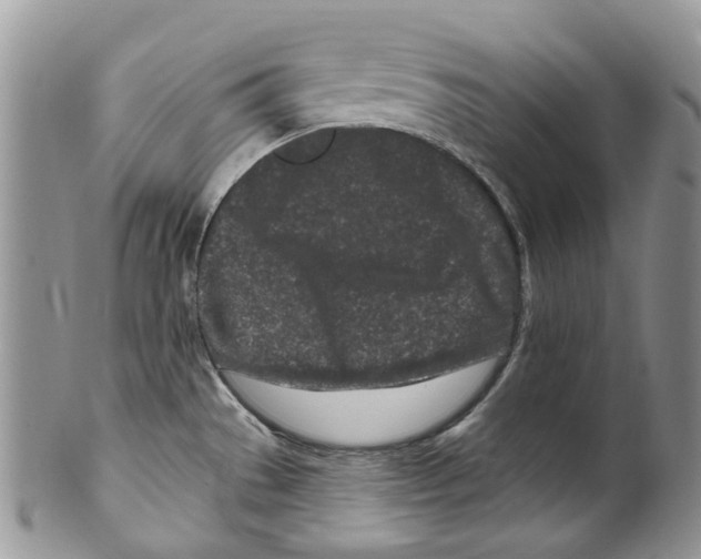 X0000099581529200806131307