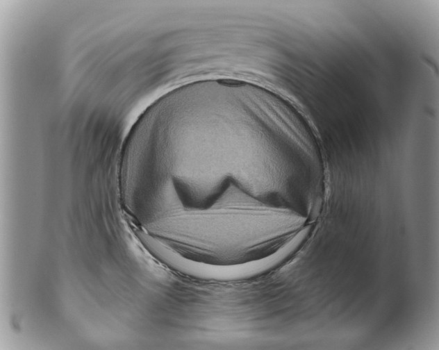 X0000099581530200806131307