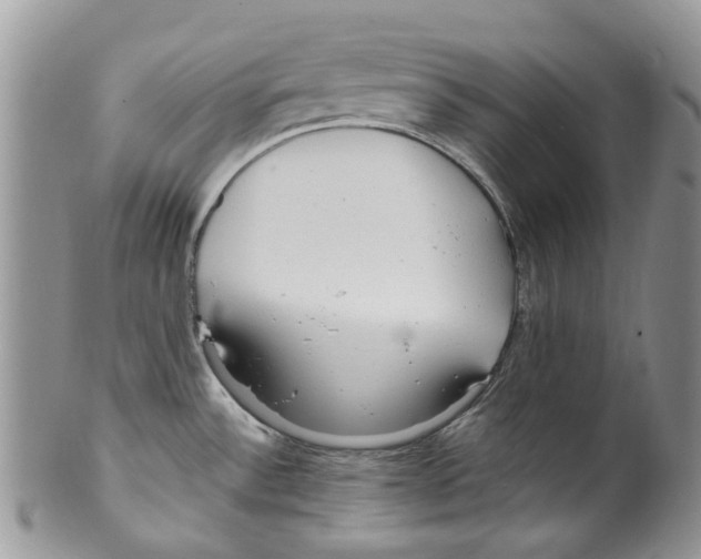 X0000099581532200806131307