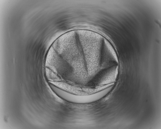 X0000099581533200806131307