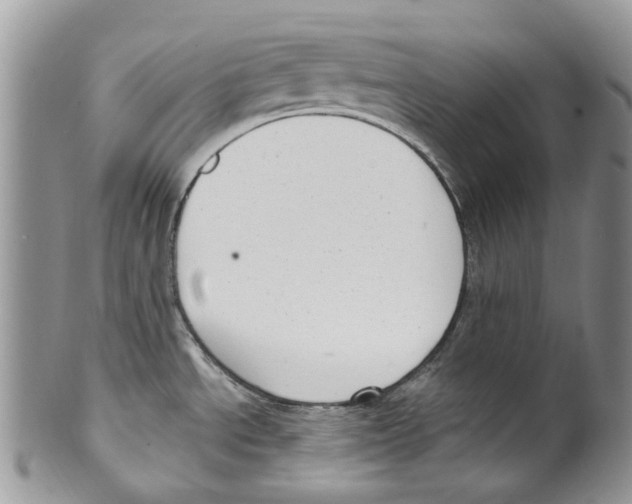 X0000099581534200806131307