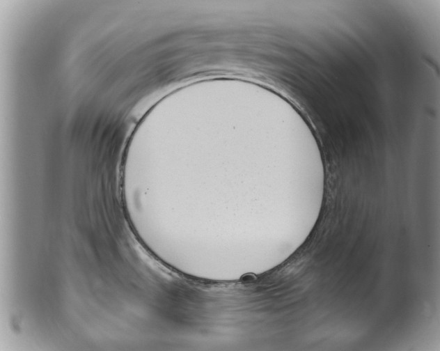 X0000099581535200806131307