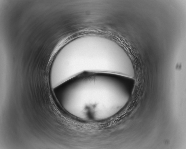 X0000099930004200805231009