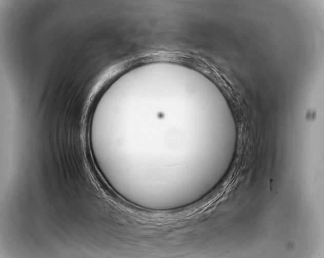 X0000099930006200805231009