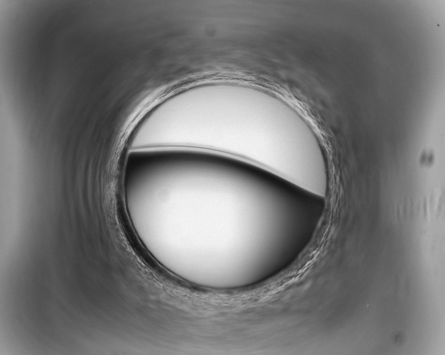 X0000099930007200805231009