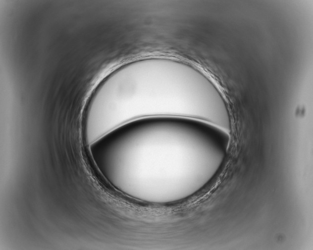 X0000099930008200805231009