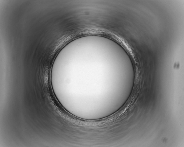 X0000099930010200805231009