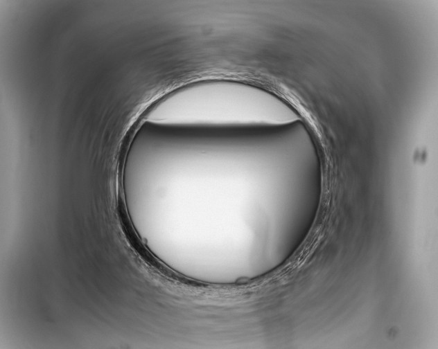 X0000099930011200805231009