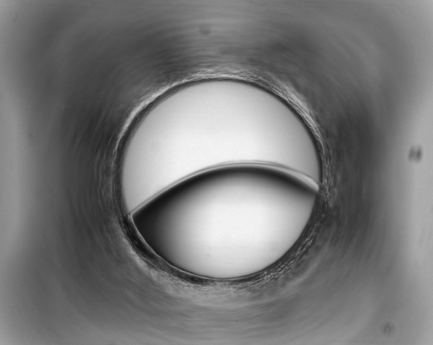 X0000099930012200805231009