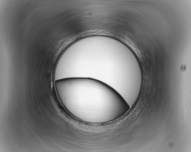 X0000099930014200805231008