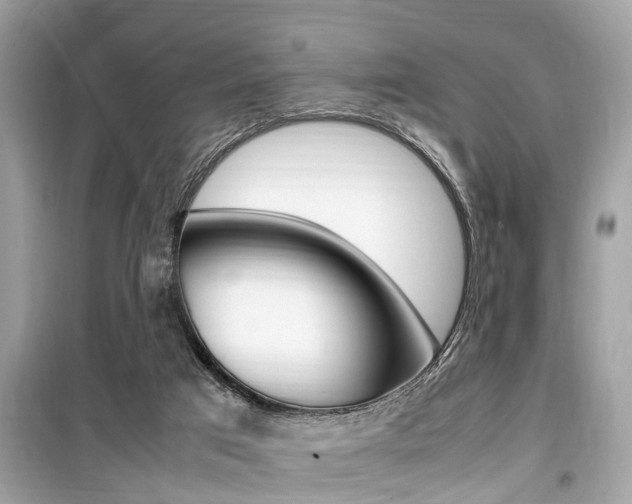 X0000099930017200805231008