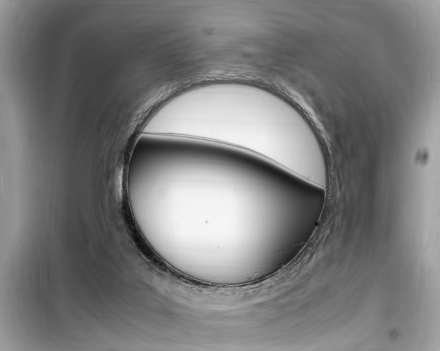 X0000099930019200805231008