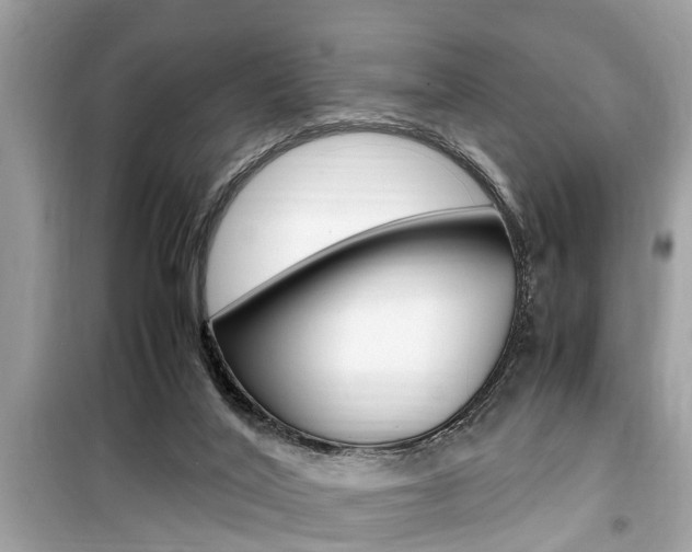 X0000099930020200805231008
