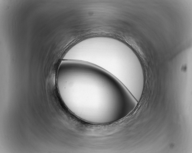 X0000099930021200805231008
