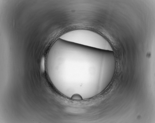X0000099930022200805231008