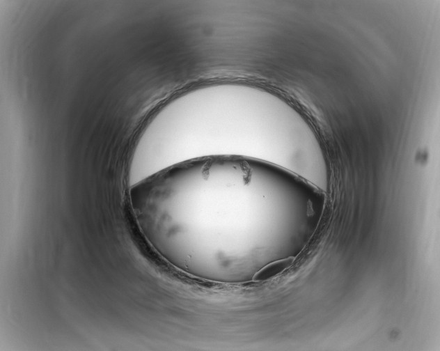 X0000099930024200805231008