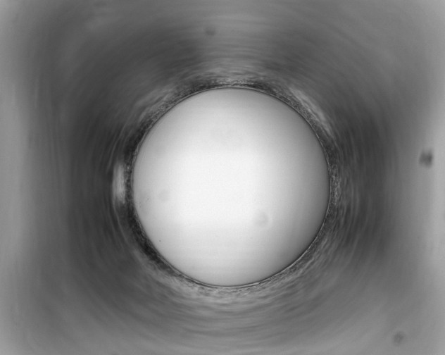 X0000099930026200805231008