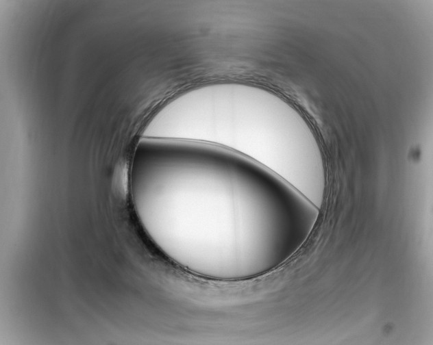 X0000099930027200805231008