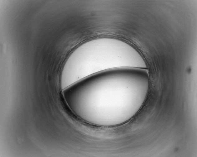 X0000099930028200805231008