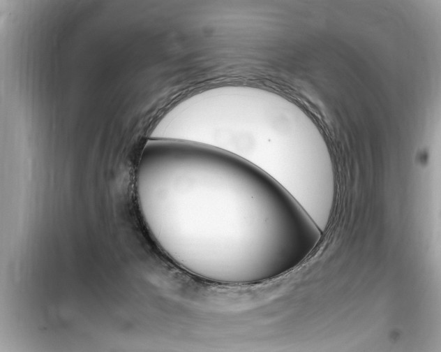 X0000099930029200805231008