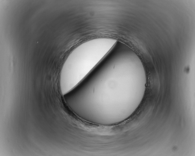 X0000099930032200805231008