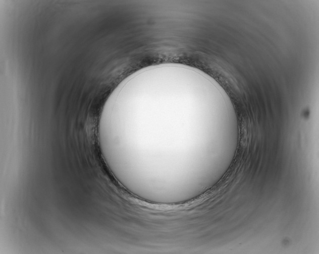 X0000099930034200805231008