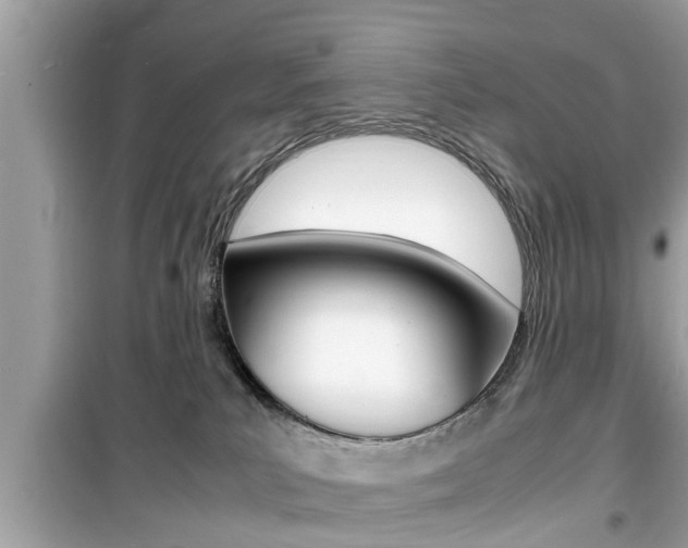 X0000099930039200805231008