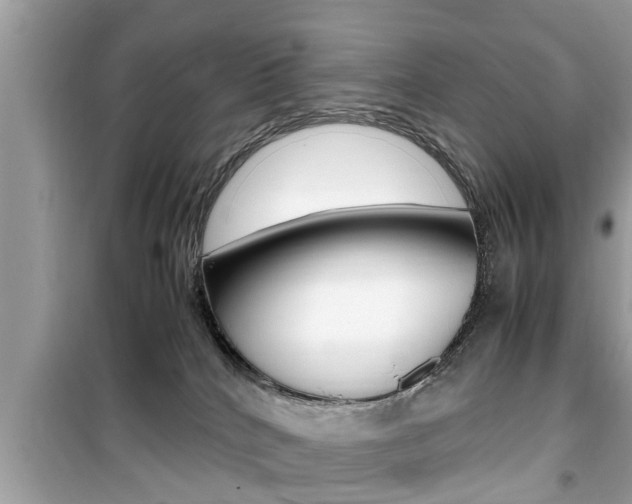X0000099930040200805231008