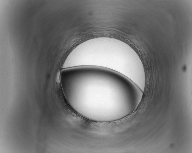 X0000099930041200805231008