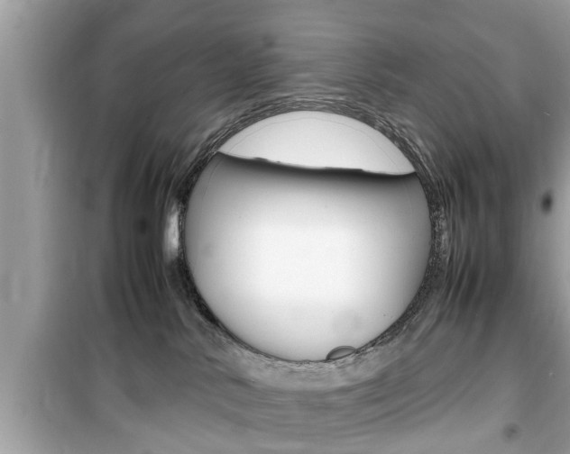 X0000099930042200805231008