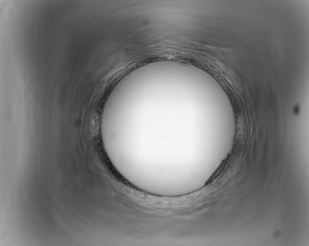 X0000099930043200805231008